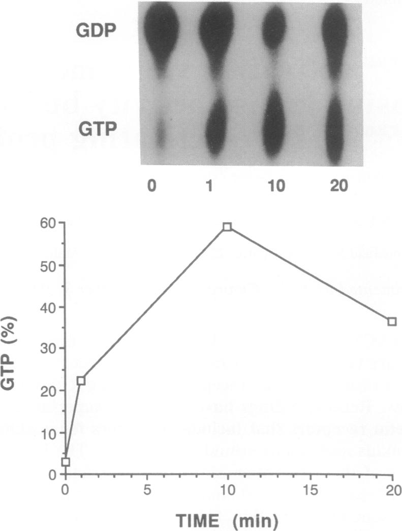 graphic file with name pnas01079-0080-a.jpg