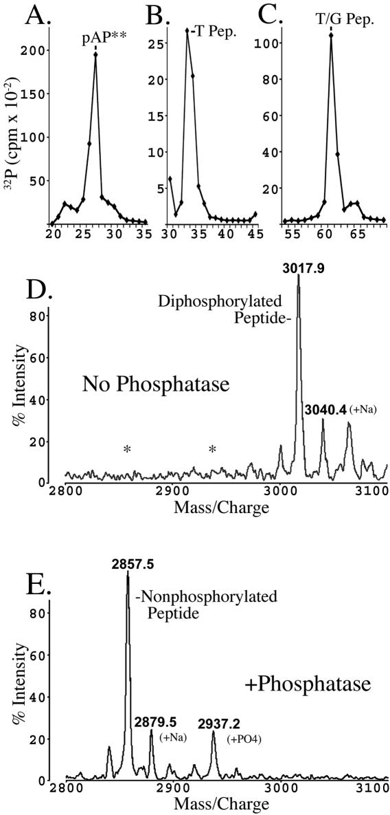 FIG. 9.