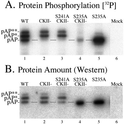 FIG. 7.