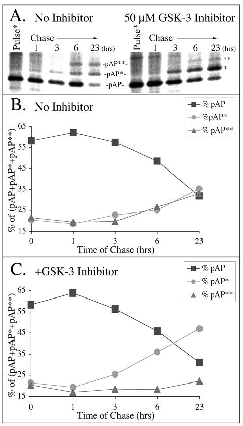 FIG. 10.