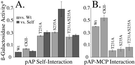 FIG. 12.