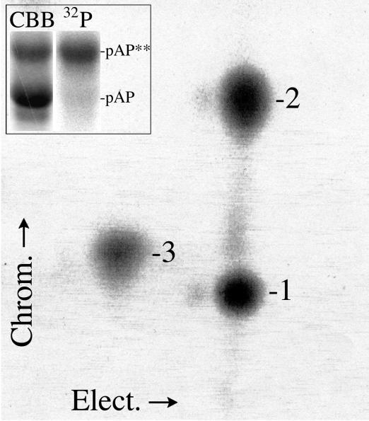 FIG. 5.