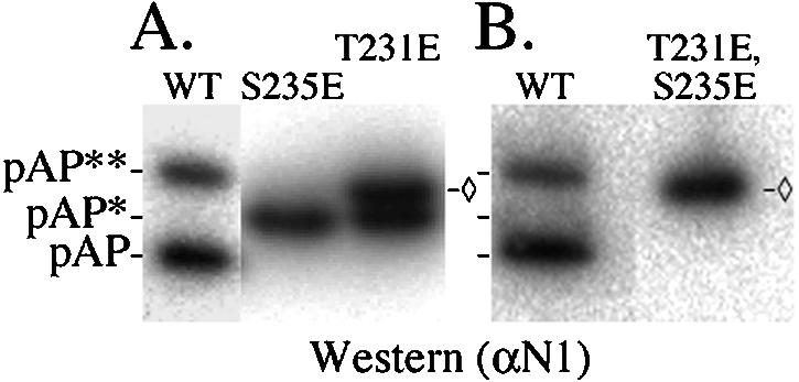 FIG. 11.