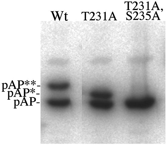 FIG. 8.