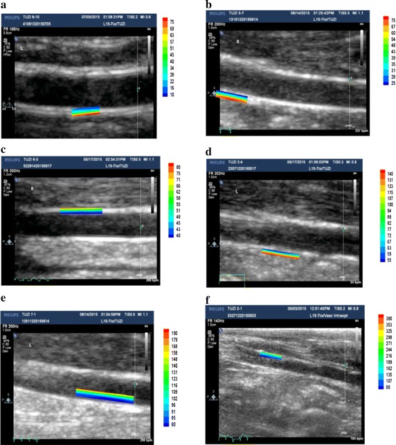 Fig. 4