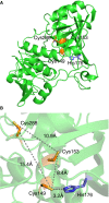 Figure 10