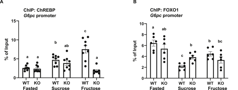 Figure 6