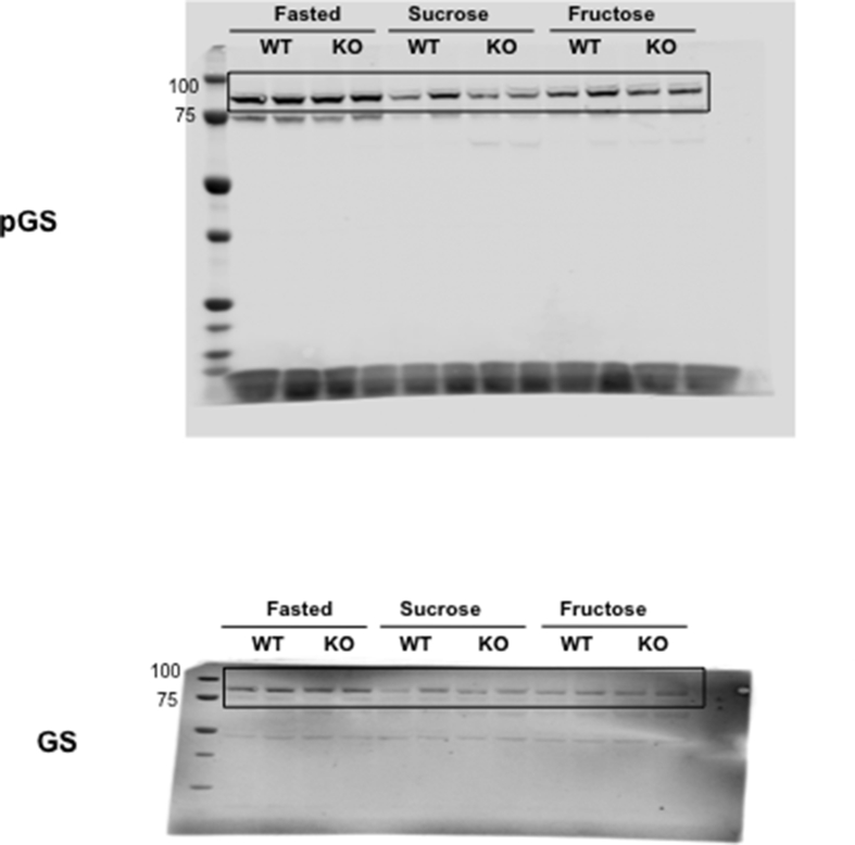 Figs24