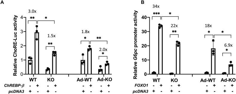 Figure 7