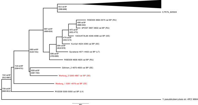 Fig. 3