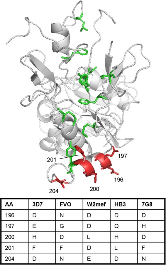 FIG 1