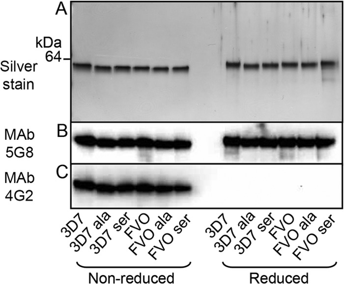 FIG 3