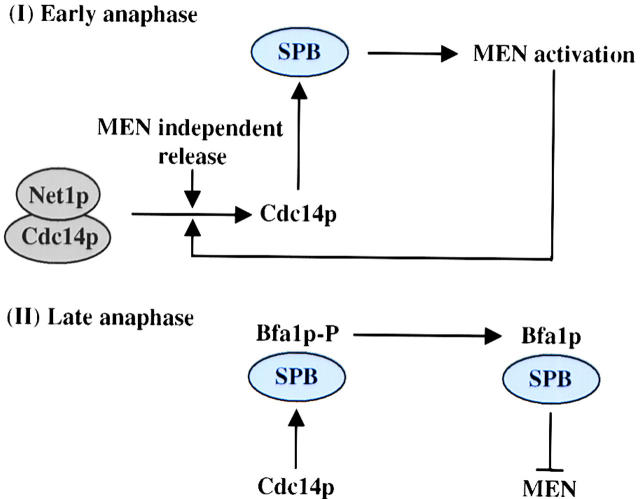 Figure 9.