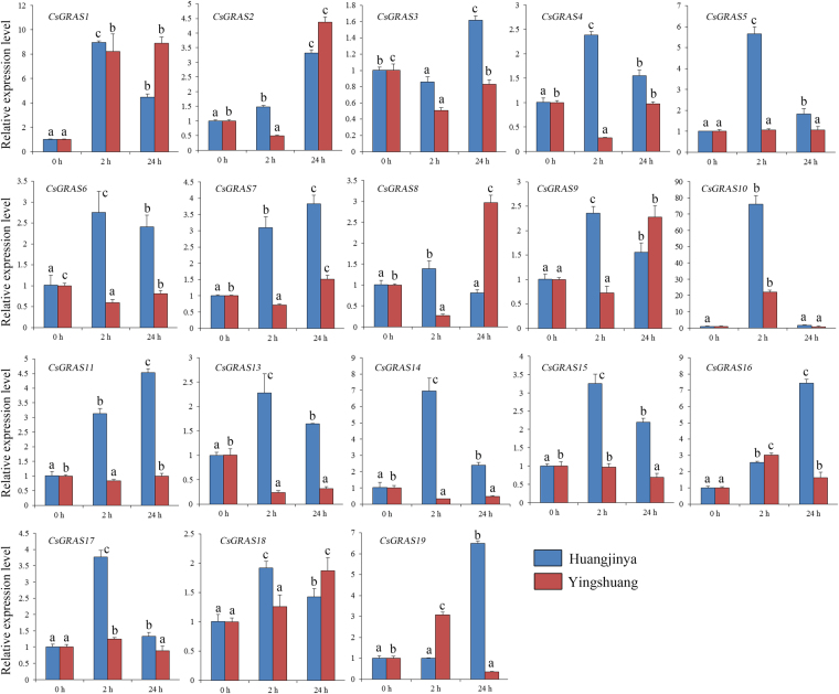 Figure 11