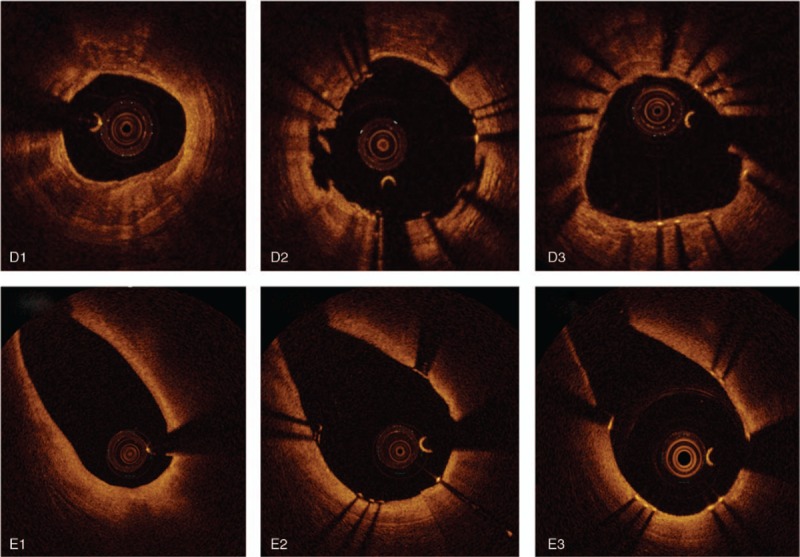 Figure 1 (Continued)