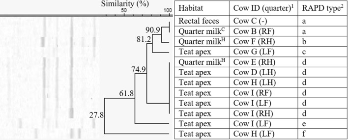 Figure 4