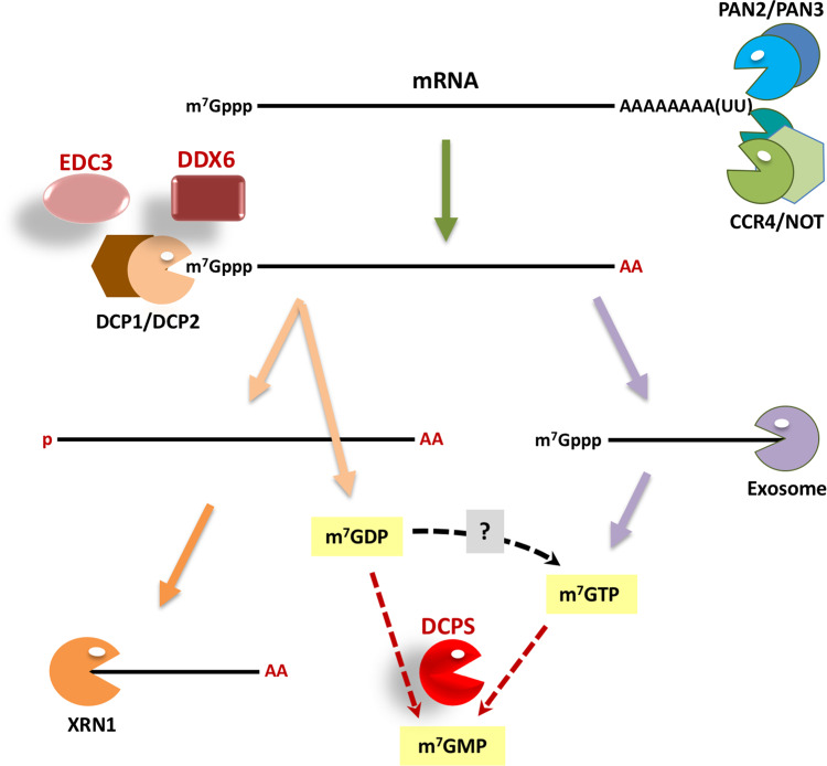 Figure 1.