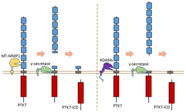 Figure 14