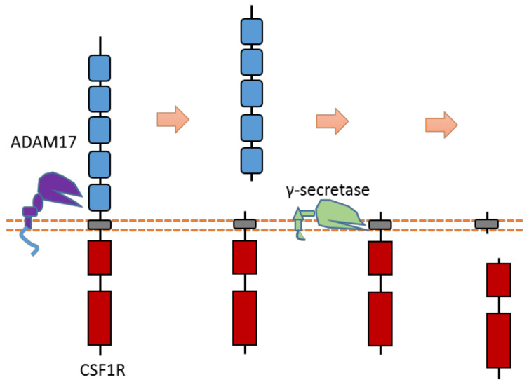 Figure 16