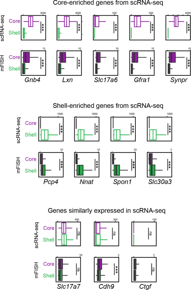 Figure 2—figure supplement 5.