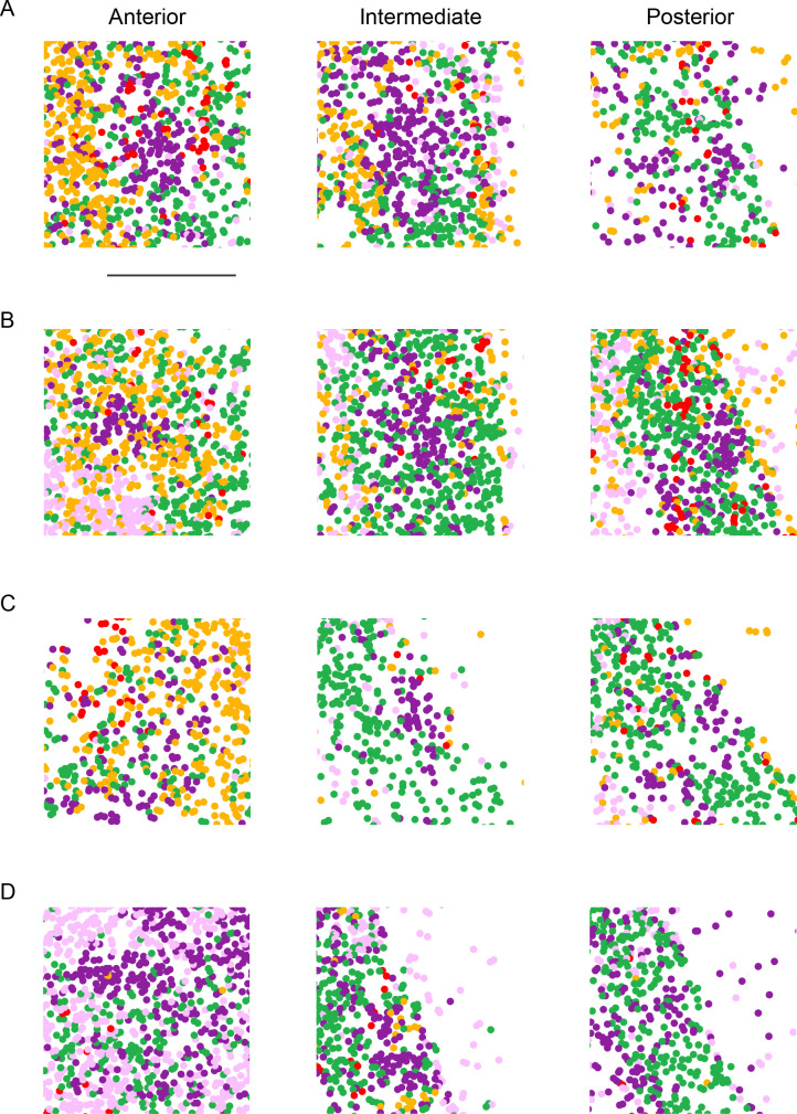 Figure 2—figure supplement 4.