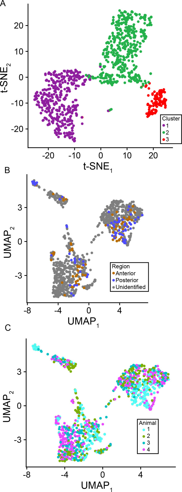 Figure 1—figure supplement 1.