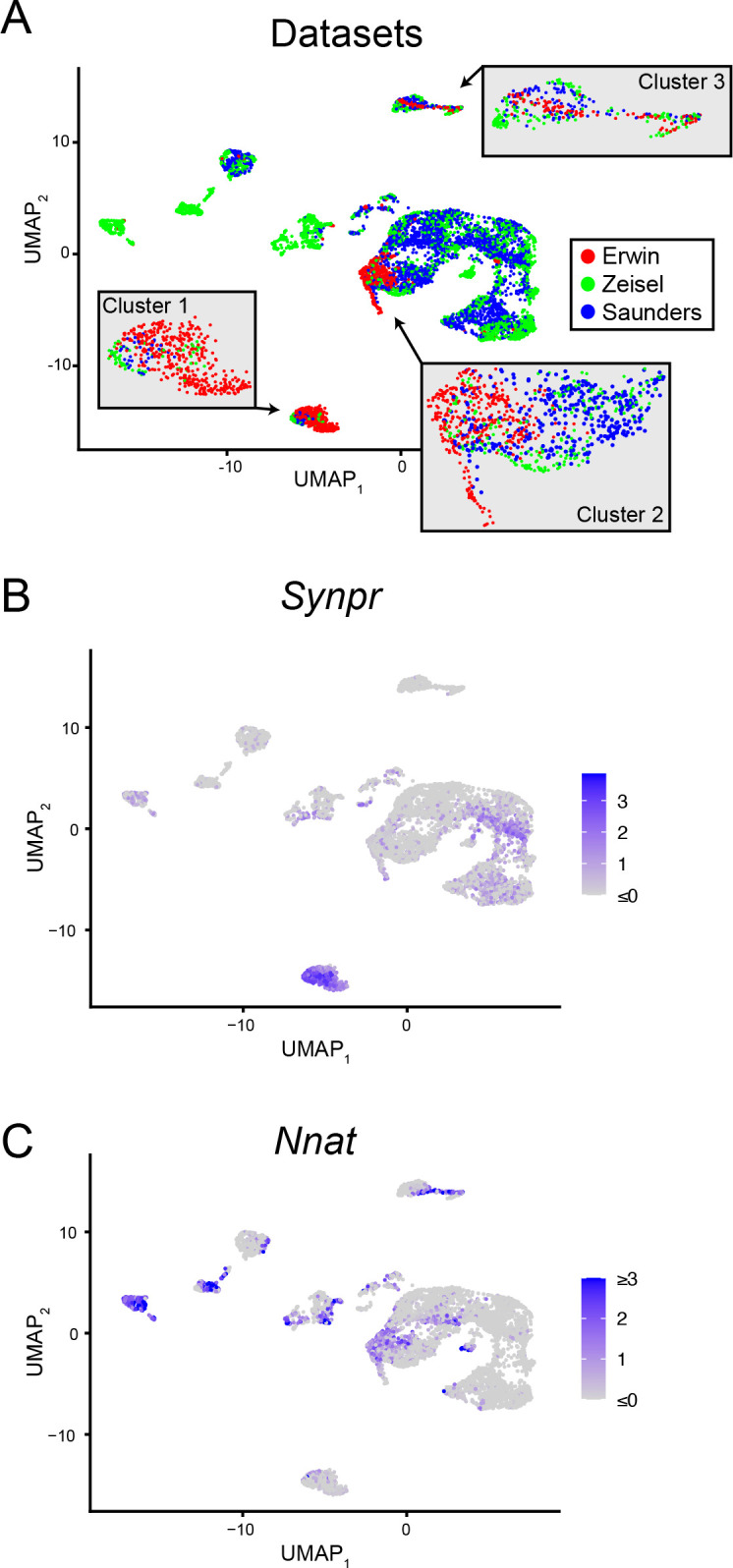 Figure 1—figure supplement 2.