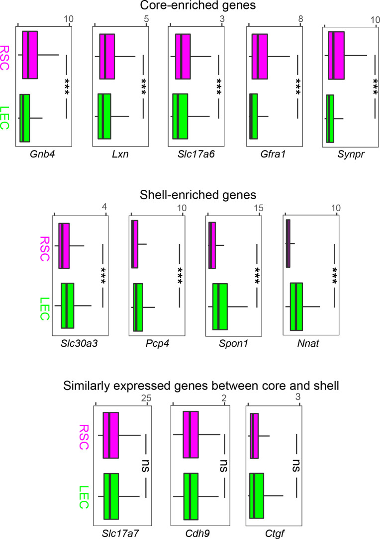 Figure 3—figure supplement 1.