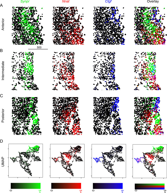 Figure 2—figure supplement 3.