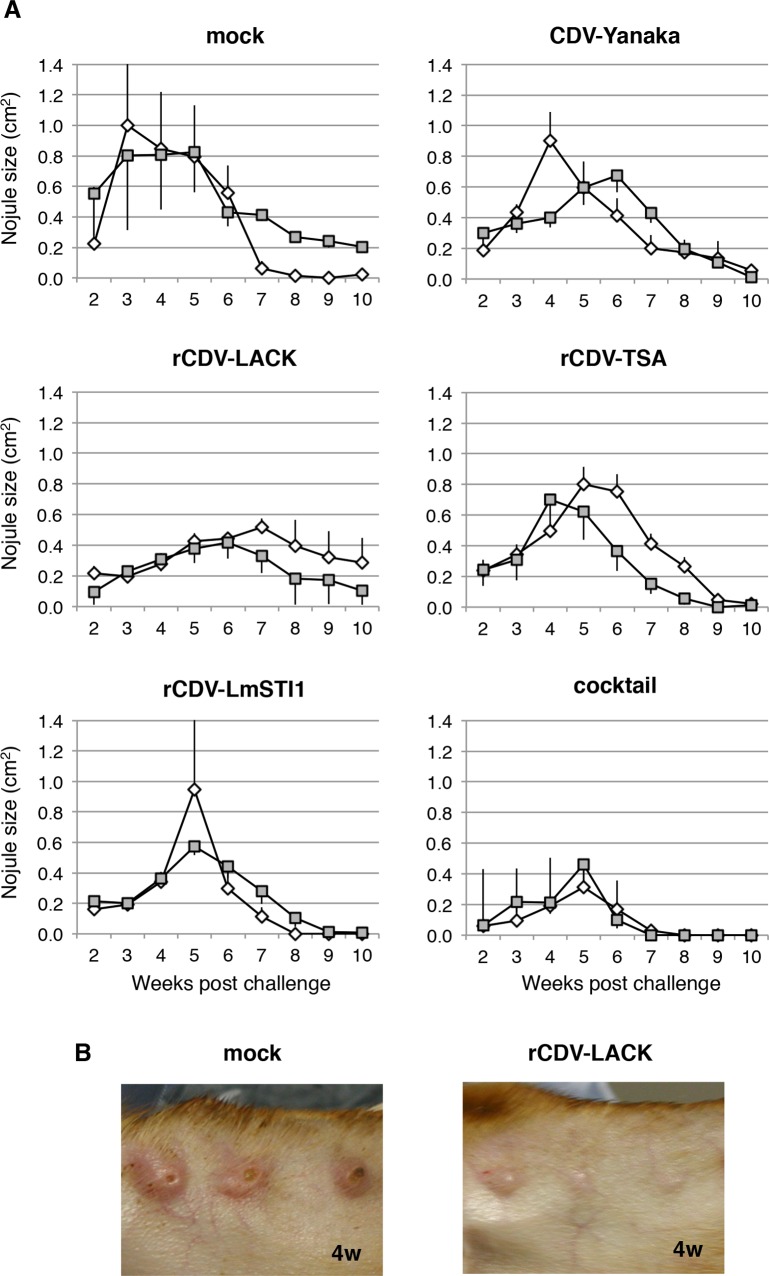 Fig 4