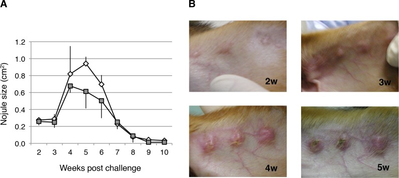 Fig 3