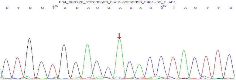 Fig. 3