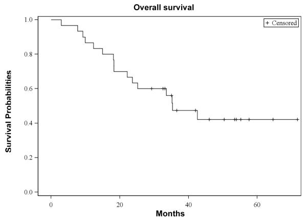 Figure 3a