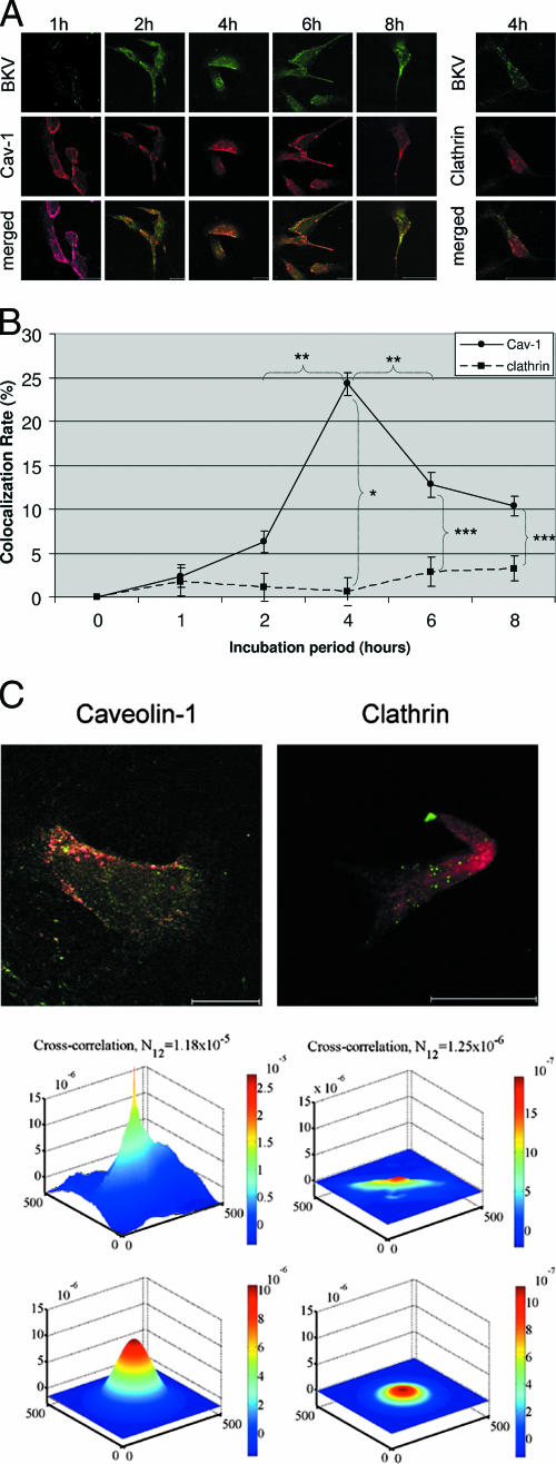 FIG. 6.