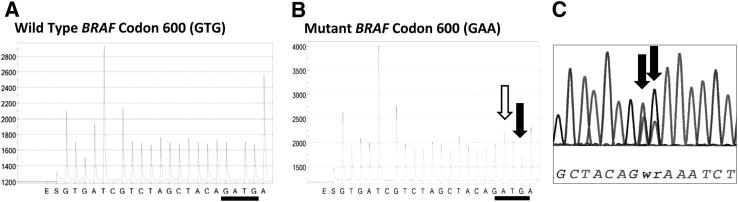 Figure 2