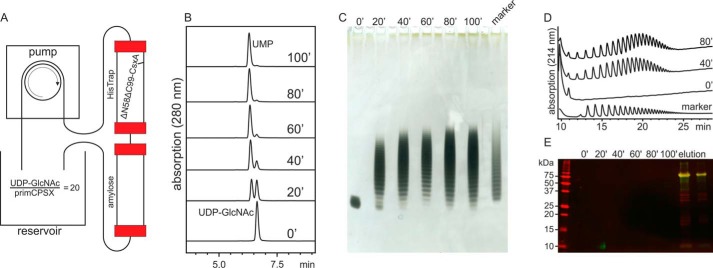 Figure 6.