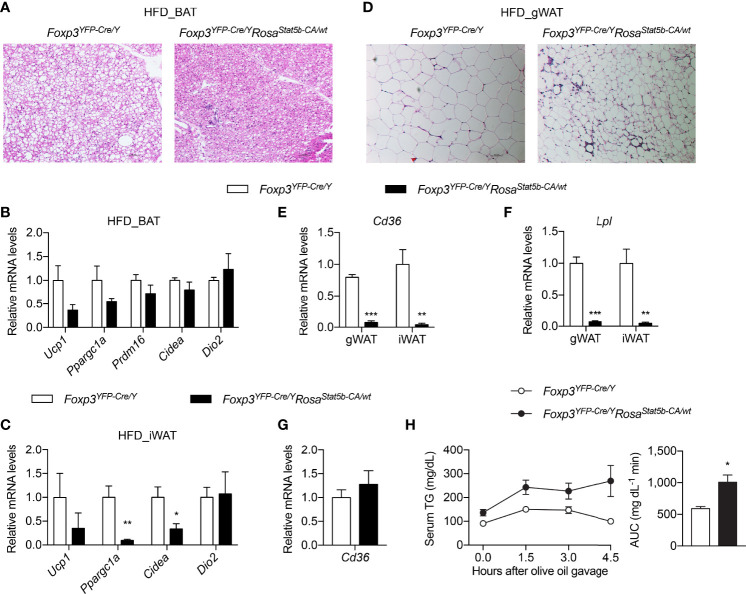 Figure 6