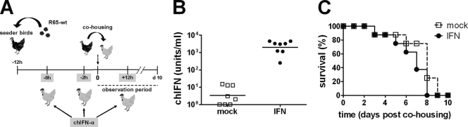 Fig. 8.