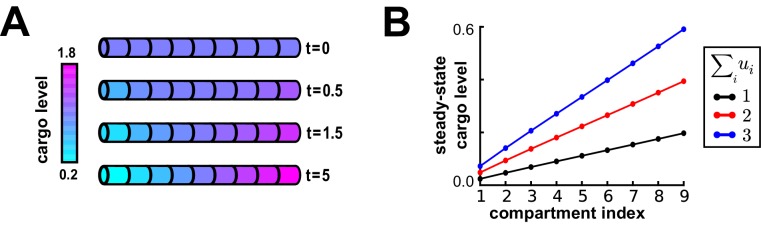 Figure 2—figure supplement 1.