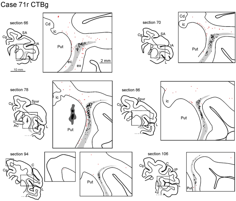 Figure 3: