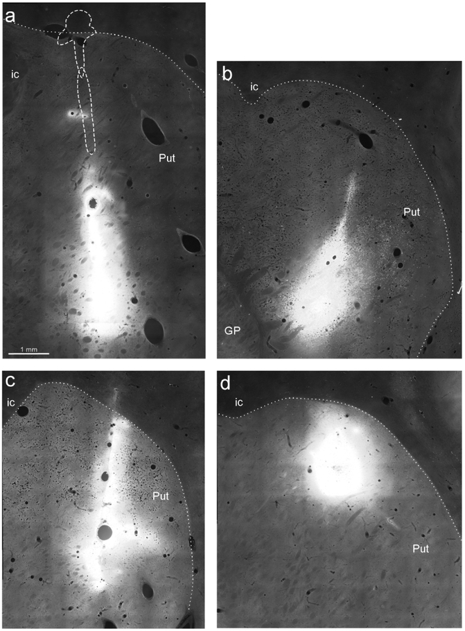 Figure 1: