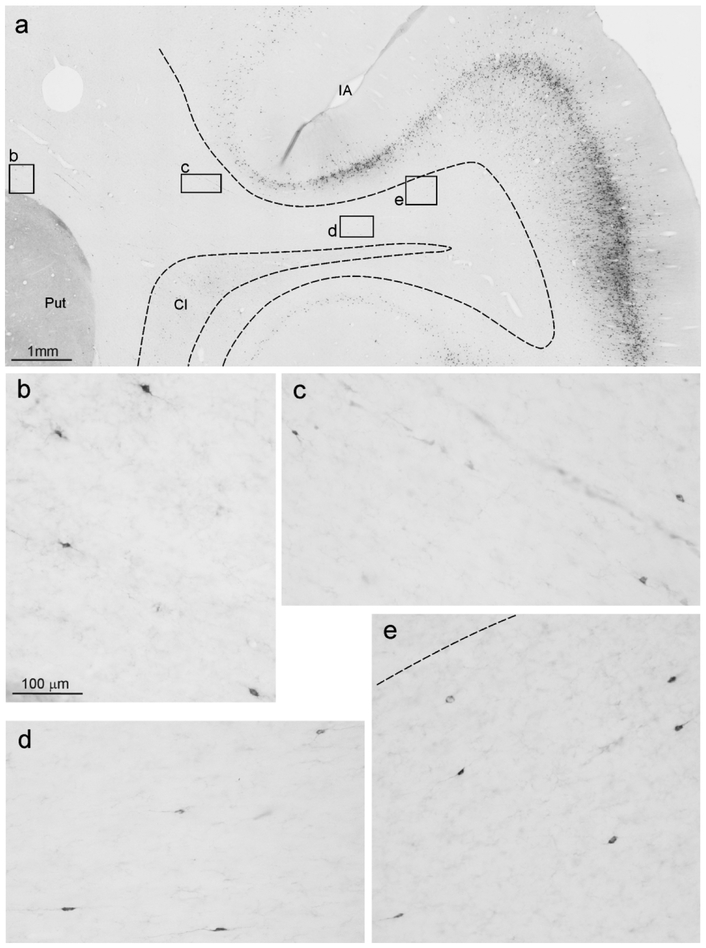 Figure 9: