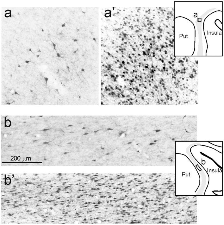 Figure 10: