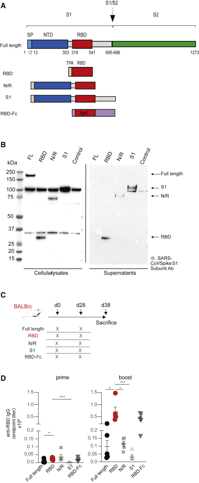 Figure 1