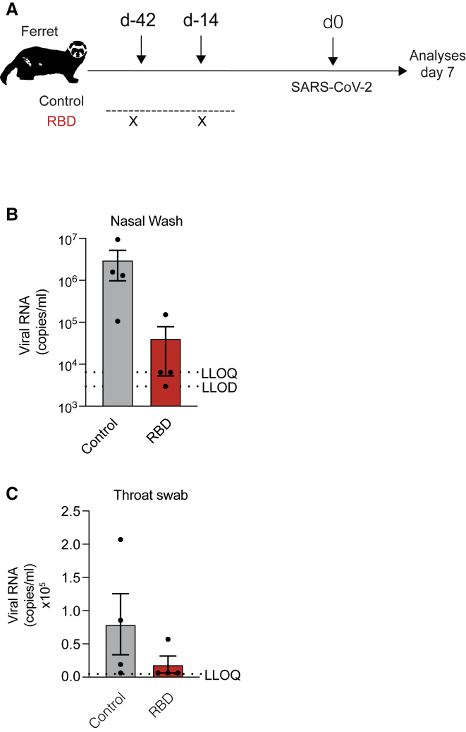 Figure 5