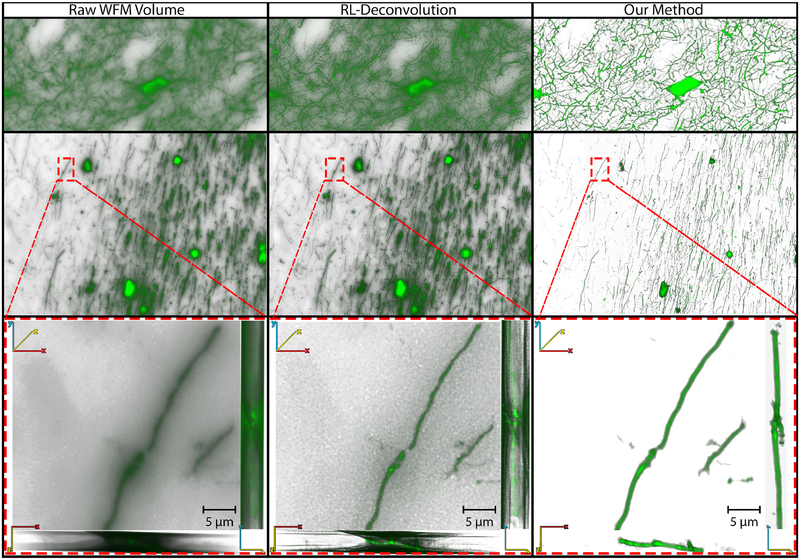 Fig. 11.