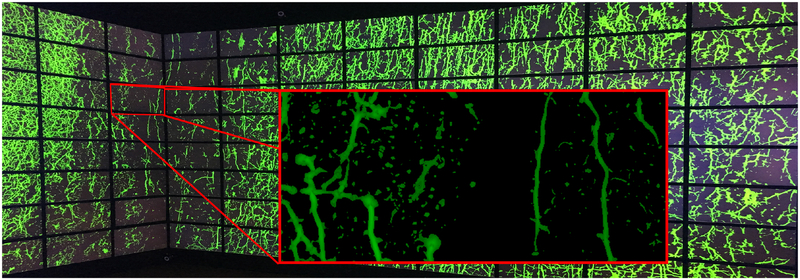 Fig. 9.