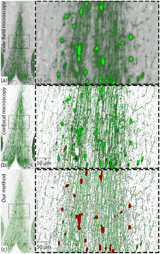 Fig. 10.