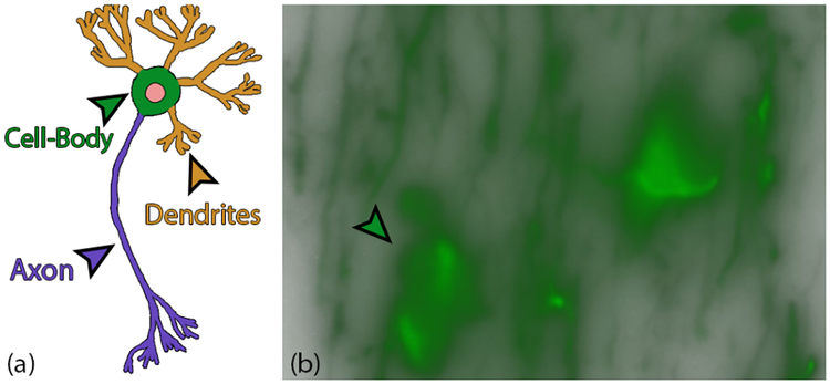 Fig. 3.