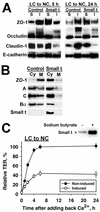 FIG. 5.